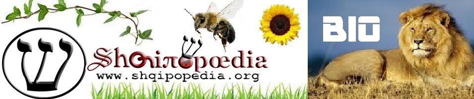 Biopedia | Portal – Enciklopedia e bimëve dhe kafshëve | Flora dhe Fauna